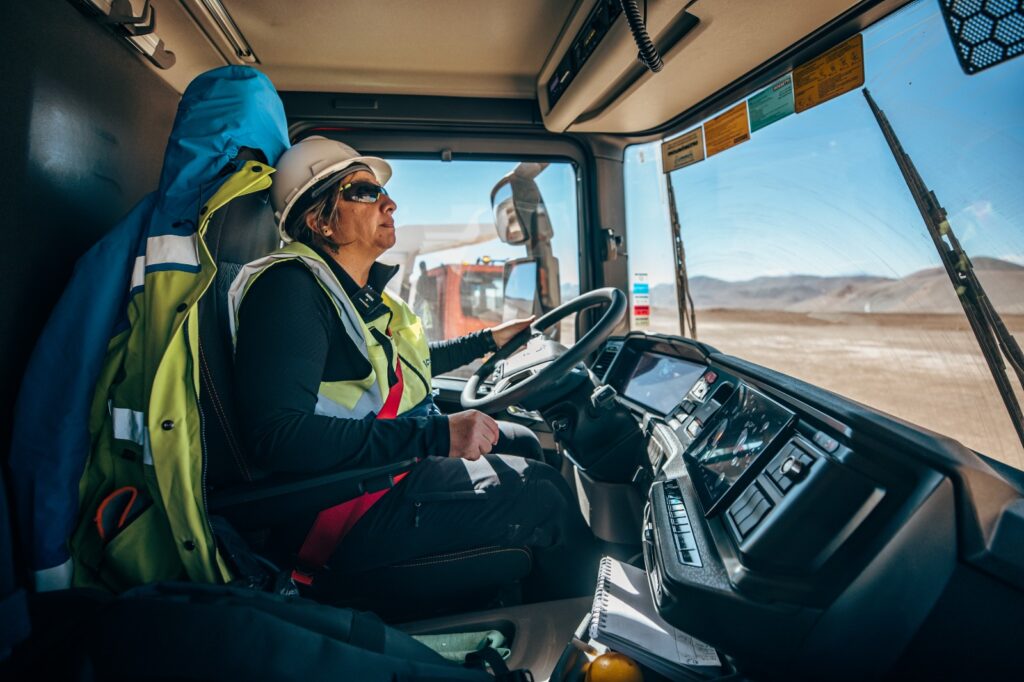 Inversión Minería Vicuña
