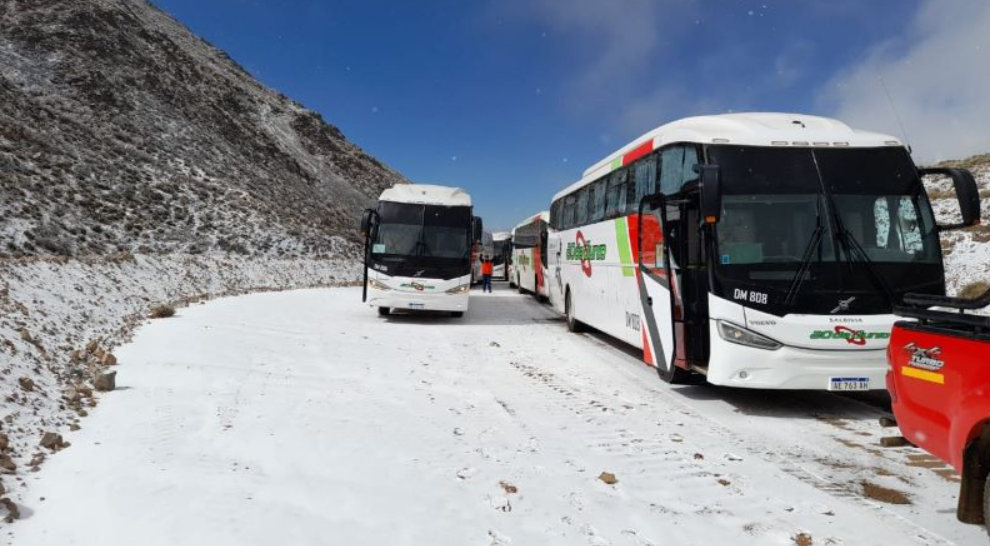 TRANSPORTE, UTE, VICUÑA, DOLARES, ALTA MONTAÑA, PROYECTO VICUÑA