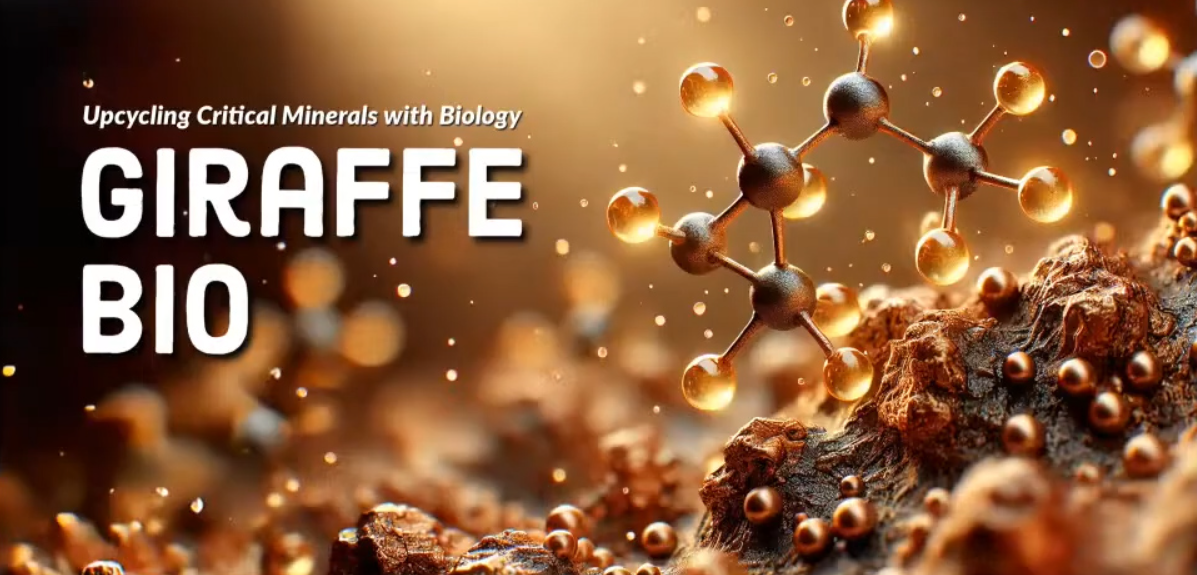 biología, IA, minería, startup, BHP, minería, cobre